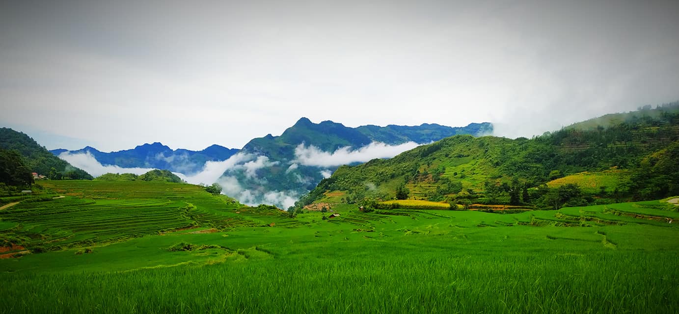 (Ruộng bậc thang Sín Chéng)