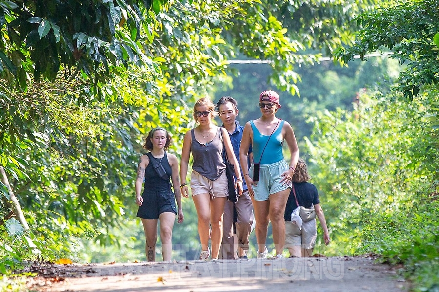 Tại đây du khách những chuyến treckking nguyên sinh, thăm quan vịnh đẹp thế giới, tắm biển, ngắm san hô và khám phá hang động