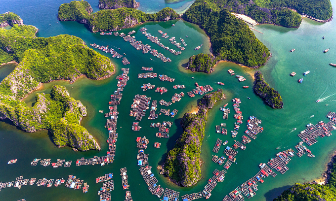 Cai Beo floating village is a must-visit place on a tour of Lan Ha Bay in Hai Phong City. Photo by Shutterstock/Jimmy Tran.